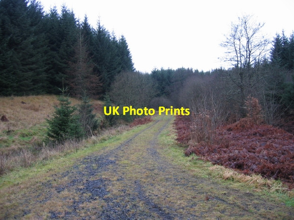 Photo 6"x4" Forest Track leading to Watson's Walls Watson's Walls c2009