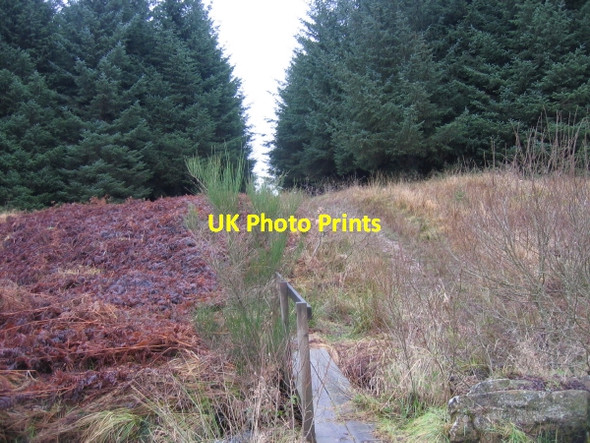 Photo 6"x4" Footbridge over Swineshaw Burn Stonehaugh c2009