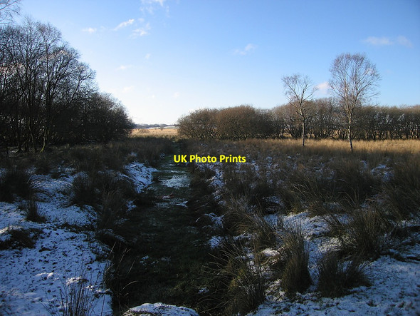 Photo 6"x4" Riverside Walk, Cors Caron Nature Reserve Swyddffynnon c2010