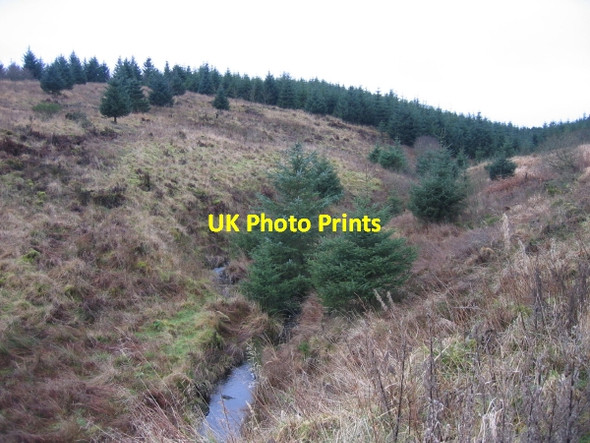 Photo 6"x4" Fletchlaw Burn Whygate c2009