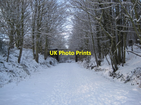 Photo 6"x4" Consett to Sunderland Railway Path Stanley\/NZ1952 c2010
