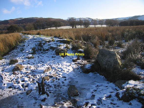 Photo 6"x4" Dam in Cors Caron Swyddffynnon c2010