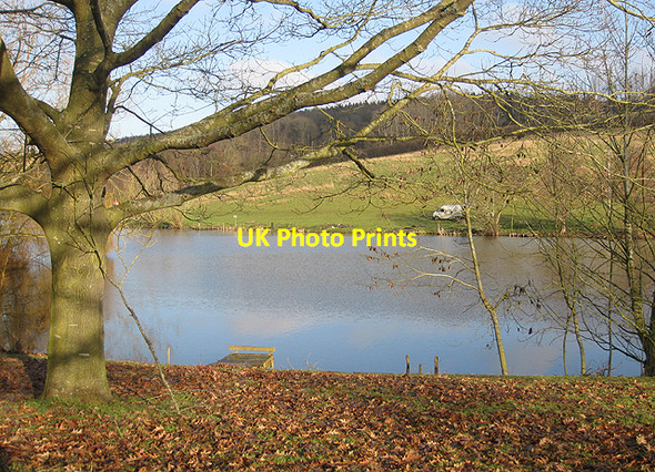 Photo 6"x4" Lakeside in early January Bromsash c2010