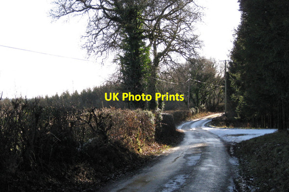 Photo 6"x4" Lane to Trusham at junction with forestry road Higher Ashton c2010