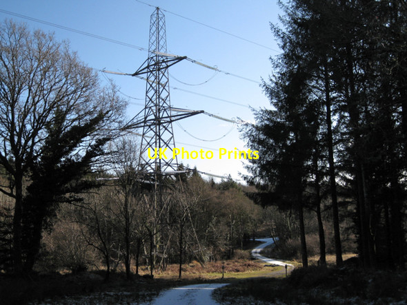 Photo 6"x4" Power lines cross forestry track, Kiddens Plantation Underdown\/SX8885 c2010