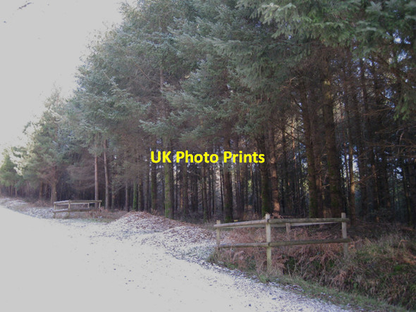 Photo 6"x4" Access across a ditch, Kiddens Plantation Underdown\/SX8885 c2010