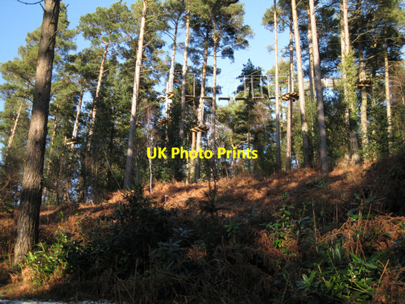 Photo 6"x4" Treetop obstacle course, Haldon Forest Park Underdown\/SX8885 c2010