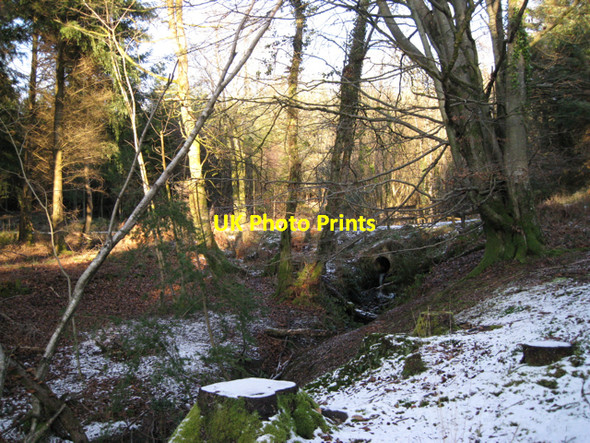 Photo 6"x4" Stream culverted under track, Haldon Forest Park Underdown\/SX8885 c2010