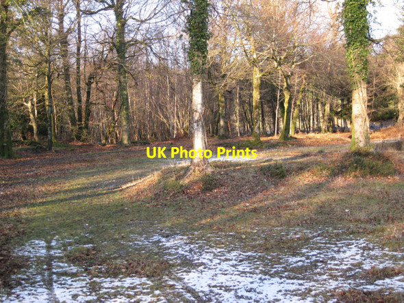 Photo 6"x4" Former car park, Haldon Forest Park Underdown\/SX8885 c2010