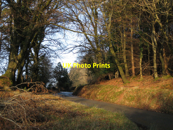 Photo 6"x4" Trusham-Dunchideock lane, Haldon Underdown\/SX8885 c2010