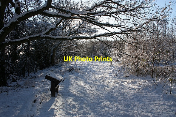 Photo 6"x4" Path through St Wulstan's Nature Reserve Marl Bank c2010