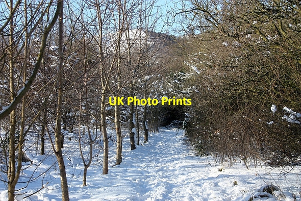 Photo 6"x4" Path through St Wulstan's Nature Reserve Marl Bank c2010