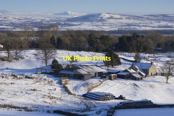 Photo 6"x4" Nether Hall Farm Witherslack c2010