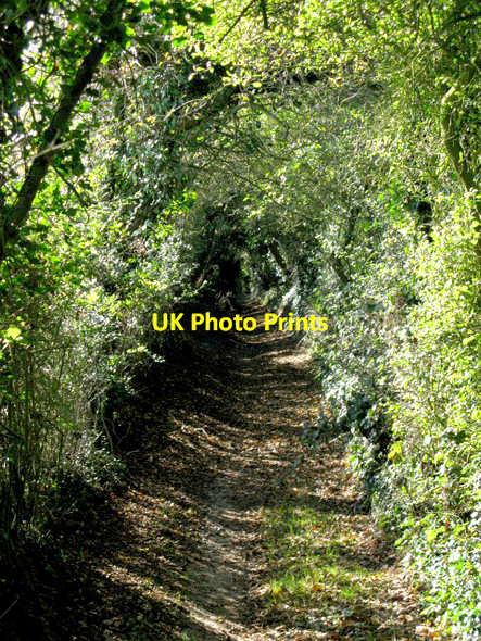 Photo 6"x4" A view along the North Downs Way Dover\/TR3141 c2009