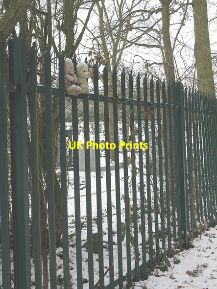 Photo 6"x4" Bearing the cold Bromley\/TQ4069 c2010