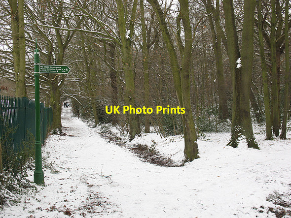 Photo 6"x4" Winter in Elmstead Woods (2) Bromley\/TQ4069 c2010