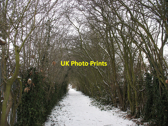 Photo 6"x4" Footpath alongside the railway Bromley\/TQ4069 c2010