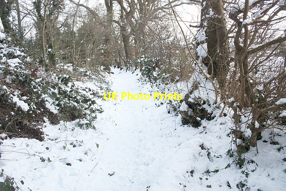 Photo 6"x4" Bridleway to Hanley Swan Brand Green\/SO7641 c2010