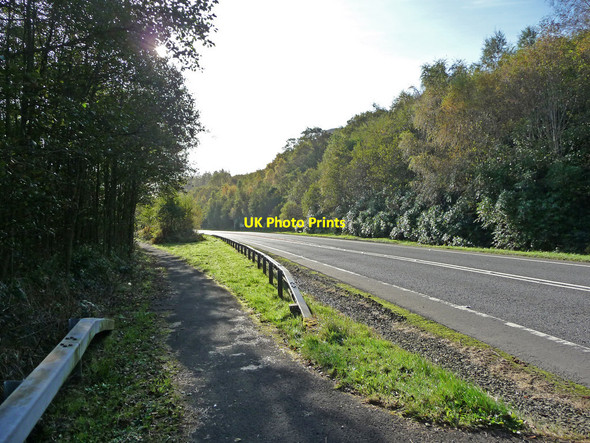 Photo 6"x4" West Loch Lomond cycle path Tarbet\/NN3104 c2009