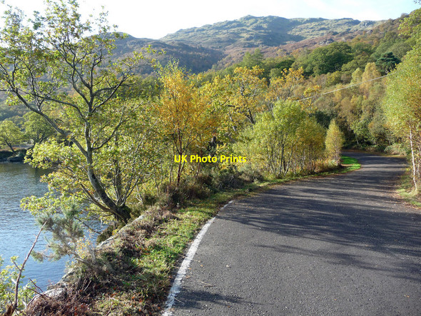 Photo 6"x4" Cycle path at Rubha Dubh Rowardennan c2009
