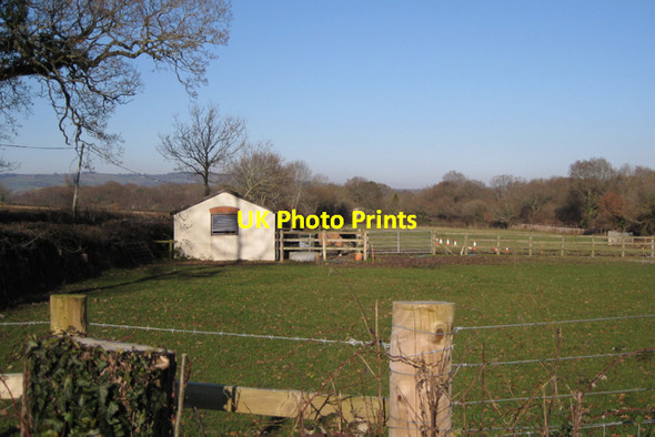 Photo 6"x4" Paddock north of Teigngrace Preston\/SX8574 c2010