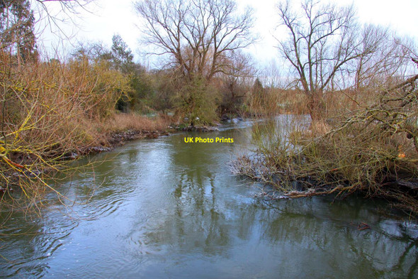 Photo 6"x4" The River Thame at Brookhampton Brookhampton\/SU6098 c2010 P1