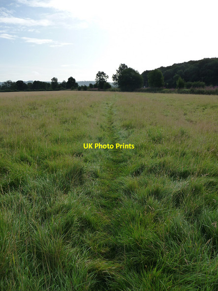 Photo 6"x4" Footpath near Bucknell Bedstone c2009