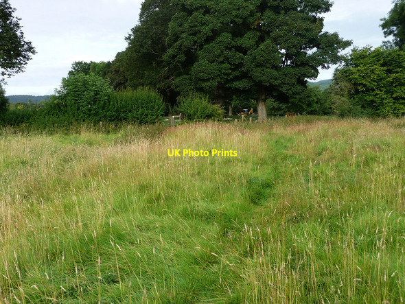 Photo 6"x4" Footpath near Bucknell Bedstone c2009
