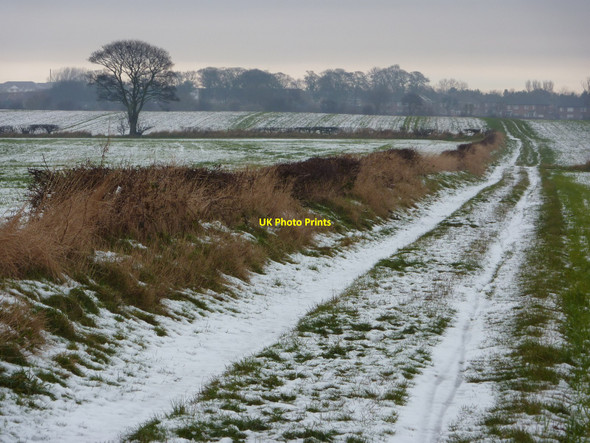 Photo 6"x4" East Cramlington Public Path Mayfield\/NZ2776 c2009