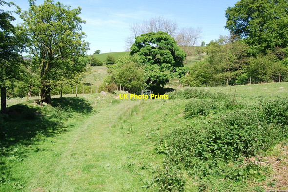 Photo 6"x4" New gate on Taith Clwyd Bryneglwys\/SJ1447 c2009