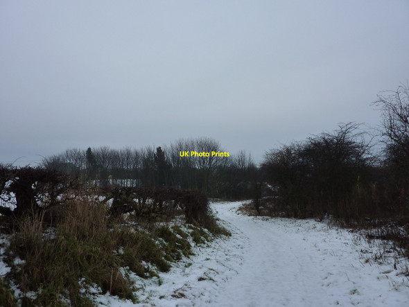 Photo 6"x4" Public Footpath from East Cramlington Seghill c2009
