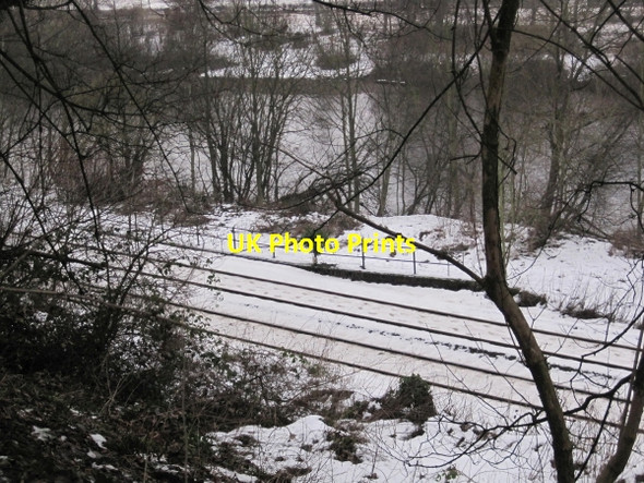 Photo 6"x4" Newcastle to Carlisle Railway Line Hexham c2010