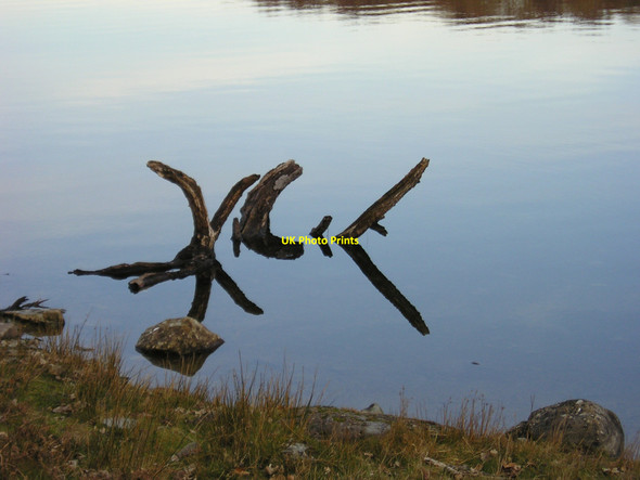 Photo 6"x4" Snowdonia: Reflections Nannau c2006