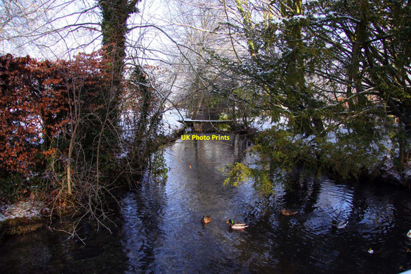Photo 6"x4" Ducks on Mill Brook Blewbury c2010