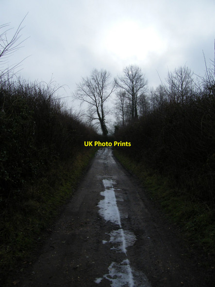 Photo 6"x4" Lane, near Aldeby Aldeby c2010