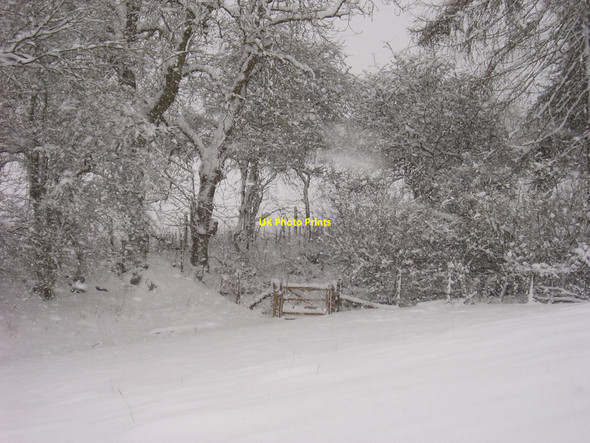 Photo 6"x4" Snow on the old Drover's road Radford\/SP4023 c2010