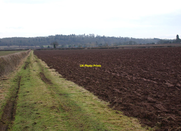 Photo 6"x4" Fields near Walton Walton\/SP2853 c2010