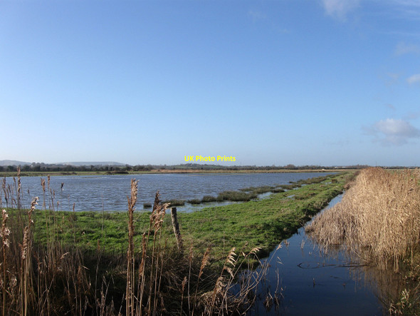 Photo 6"x4" Fourteen Acre Marsh Pevensey Bay\/TQ6504 c2010