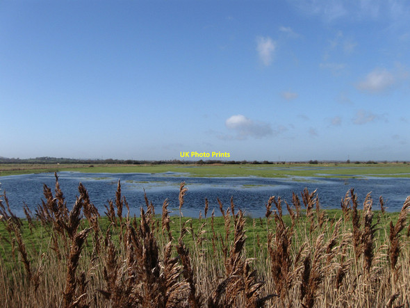 Photo 6"x4" Inner Marsh Pevensey Bay\/TQ6504 c2010