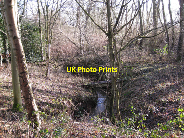 Photo 6"x4" Stream in a small wood near Crewe Farm Kenilworth c2010