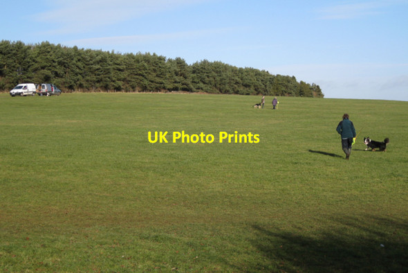 Photo 6"x4" Dog training near the NAC Stoneleigh\/SP3372 c2010