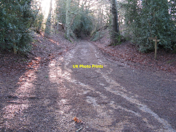 Photo 6"x4" Path junction near Redford House Wiggonholt c2010
