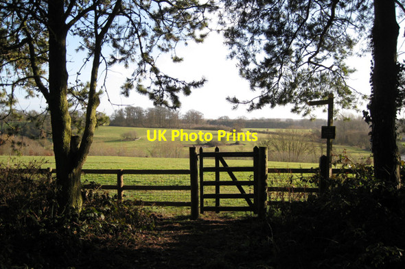Photo 6"x4" Motslowhill Spinney across the valley of the Sowe Stoneleigh\/SP3372 c2010