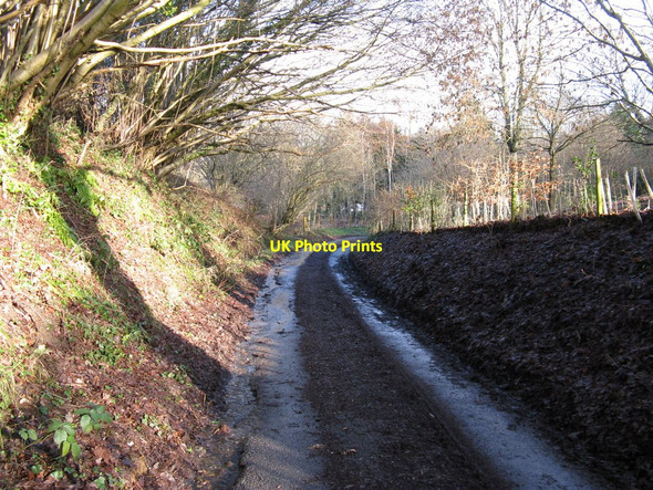 Photo 6"x4" Hurston Lane approaching Hurston Place Wiggonholt c2010