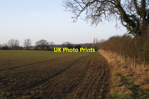 Photo 6"x4" Hedgerow at the end of a field Kenilworth c2010