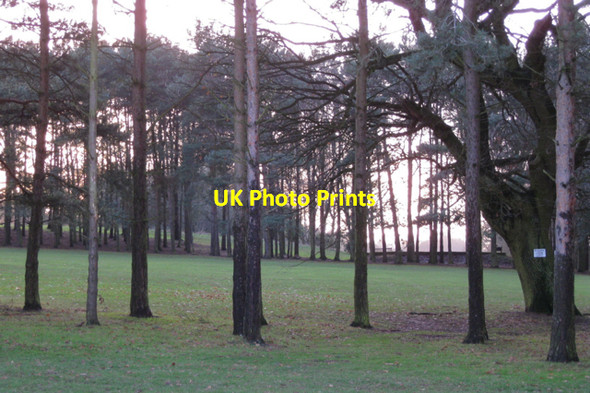 Photo 6"x4" Footpath crossing Kenilworth Golf Course Kenilworth c2010