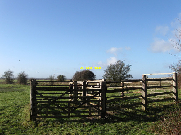 Photo 6"x4" Sheep Pen, Church Land Manxey Five Acres Pevensey Bay\/TQ6504 c2010