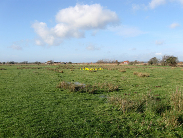 Photo 6"x4" Further Wartling Trade Marsh Wartling c2010