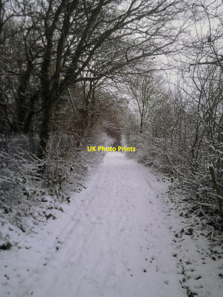 Photo 6"x4" Old trackway in snow at Woodlands Farm Bexley c2010