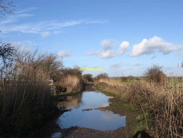 Photo 6"x4" Church Acre Drove Rickney c2010